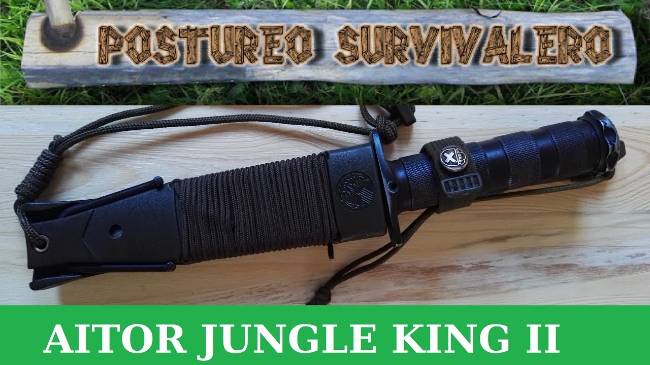 aitor jungle king 1 review