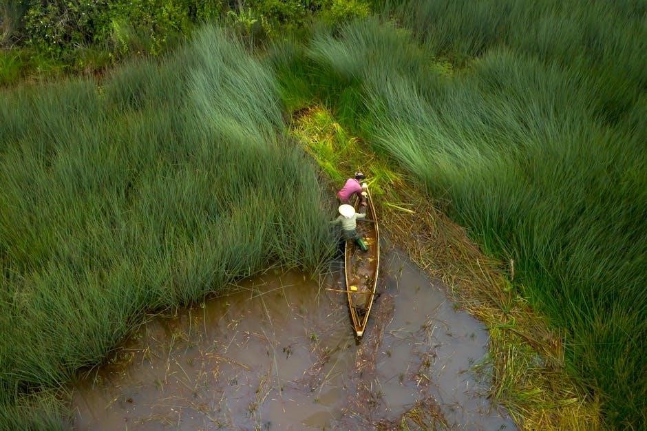 2024 Farmer's Almanac Fishing Guide: Best Times & Tips | Catch More Fish!