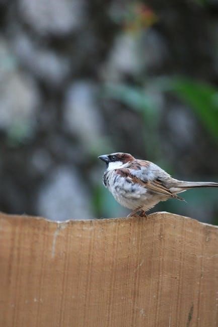 RestedXP Guide: Free Tips Strategies Unleashed